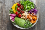 Vegan lifestyle, transition, important factors to know before transitioning to a vegan lifestyle, Plant based diet