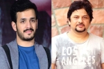 AK Entertainments, Akhil Akkineni fifth film, akhil akkineni and surendar reddy joins hands, Beef