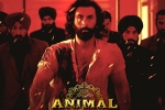 Animal movie updates, Animal new updates, record breaking nominations for animal, Anil kapoor