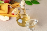 Apple Cider Vinegar latest, Apple Cider Vinegar news, health benefits of apple cider vinegar, Blood sugar levels