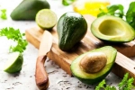 Avocado diet, Avocado tips, add avocado in your diet to lose weight, Crashes