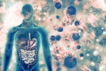 coronavirus, COVID-19, covid 19 can affect almost all organs experts at aiims, Niti aayog
