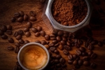 hair growth, coffee and egg hair mask, how to use coffee for hair growth, Testosterone