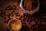 caffeine, coffee for hair shine, how to use coffee for hair growth, Cyclic caffeine, coffee for hair shine, how to use coffee for hair growth, Cyclic