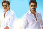 Annapurna Studios, Annapurna Studios, ten days worldwide collections of bangarraju, Soggade chinni nayana