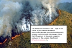 amazon rainforest animals, amazon rainforest ecosystem, in pictures devastating fires in amazon rainforest visible from space, Wmo amazon rainforest animals, amazon rainforest ecosystem, in pictures devastating fires in amazon rainforest visible from space, Wmo