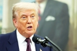 Sergio Gor latest, Sergio Gor breaking, donald trump names close political aide as india ambassador, Action