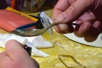 West Virginia, overdose in West Virginia, elephant sedative carfentanil blamed for west virginia overdoses, Lamar