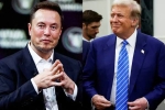 Elon Musk and Donald Trump breaking, USA, elon musk s big bet on donald trump, Nelson
