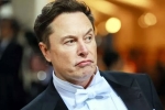 Elon Musk India visit delayed, Elon Musk India visit breaking updates, elon musk s india visit delayed, Economy
