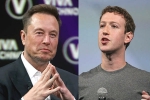 Mark Zuckerberg, Elon Musk Vs Mark Zuckerberg, elon musk vs mark zuckerberg rivalry, Walrus