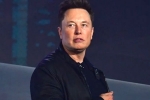Elon Musk breaking news, X, elon musk talks about cage fight again, Domino s