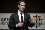 Facebook investors, firm, facebook ceo refuses to quit amid pressure from investors, Sheryl sandberg