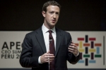 Mark Zuckerberg, Facebook CEO, facebook ceo refuses to quit amid pressure from investors, Mark zuckeberg
