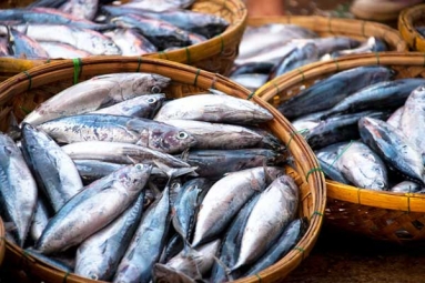 Eat This Fish Twice A Week To Stop Hair Loss Eat This Fish Twice A Week To Stop Hair Loss