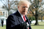 constitution, president, former u s senators warn of constitutional crisis under trump, Playboy