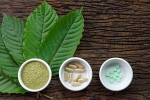 health and fitness, kratom, this pain treating herbal supplement is not safe for use, Disorders care