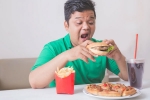 India Urgent War on Junk Food breaking, India Urgent War on Junk Food latest breaking, why india needs an urgent war on junk food, Key