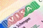 Schengen visa for Indians, Schengen visa for Indians 2024, indians can now get five year multi entry schengen visa, Visa