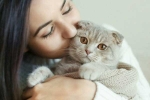 International Cat Day, cats pets, international cat day reasons why being a cat owner is good for health, Social skills