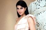 Jacqueline Fernandez controversy, Jacqueline Fernandez breaking, jacqueline fernandez files complaint against sukesh chandrashekhar, Crime