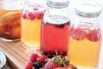 Kombucha and Fermented Foods, Kombucha and Fermented Foods health updates, health benefits of kombucha and fermented foods, Depression