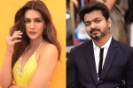 Kriti Sanon South film, Kriti Sanon new movies, kriti sanon to romance vijay in his next, 1 nenokkadine