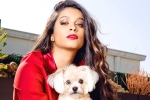 superwoman lilly singh, hollywood, lilly singh talks about life after coming out as bisexual, Bisexual