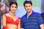 Pooja Hegde with Mahesh, Pooja Hegde new movie, mahesh babu all set to romance pooja hegde again, Maharshi Pooja Hegde with Mahesh, Pooja Hegde new movie, mahesh babu all set to romance pooja hegde again, Maharshi