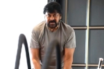 Chiranjeevi gym, Chiranjeevi next movie, megastar chiranjeevi is back to work, Trisha