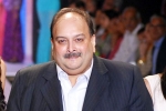 Mehul Choksi to India, Mehul Choksi Indian government, mehul choksi s extradition india s assurance to belgium, Punjab national bank fraud case