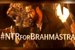 Ranbir Kapoor, Brahmastra release date, ntr turns chief guest for brahmastra event, Back pain