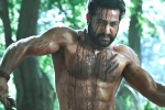 RRR Release date, Ramaraju for Bheem latest updates, ramaraju for bheem ntr s deadly transformation as komaram bheem, Best actors RRR Release date, Ramaraju for Bheem latest updates, ramaraju for bheem ntr s deadly transformation as komaram bheem, Best actors