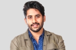 Naga Chaitanya new movie, Naga Chaitanya new movie, interesting title for naga chaitanya s next, Venky mama Naga Chaitanya new movie, Naga Chaitanya new movie, interesting title for naga chaitanya s next, Venky mama