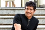 Nagarjuna upcoming movies, Nagarjuna next movie, nagarjuna s 100th film will be a multi starrer, Nagarjuna 100th film