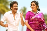 Naga Chaitanya, Sankranthi 2022, nagarjuna s bangarraju turns hot among sankranthi releases, Ashok galla