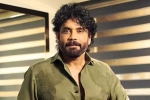 Nagarjuna Personal Rights Delhi Court, Nagarjuna Personal Rights news, delhi high on nagarjuna s personal rights, Aishwarya rai bachchan Nagarjuna Personal Rights Delhi Court, Nagarjuna Personal Rights news, delhi high on nagarjuna s personal rights, Aishwarya rai bachchan