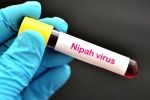 Nipah Virus, Nipah Virus death rate, nipah virus is back again two deaths registered, Nipah viru