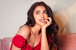 Pooja Hegde next film, Pooja Hegde, pooja hegde in talks for a biggie, Ssmb28 Pooja Hegde next film, Pooja Hegde, pooja hegde in talks for a biggie, Ssmb28