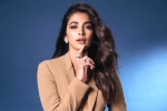 Pooja Hegde, Pooja Hegde lineup, pooja hegde lines up bollywood films, Pooja hegde