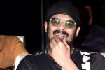 Prabhas and Maruthi Film shooting news, Prabhas and Maruthi Film launch, prabhas next film launched, Raja deluxe Prabhas and Maruthi Film shooting news, Prabhas and Maruthi Film launch, prabhas next film launched, Raja deluxe
