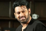 Prabhas news, Prabhas, prabhas to join project k from november, C ashwini dutt Prabhas news, Prabhas, prabhas to join project k from november, C ashwini dutt
