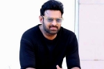 Prabhas updates, Prabhas new film, prabhas to return back to work, C ashwini dutt Prabhas updates, Prabhas new film, prabhas to return back to work, C ashwini dutt