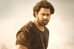 Prabhas and Maruthi updates, Prabhas and Maruthi new updates, prabhas to romance three heroines, Pakka commercial Prabhas and Maruthi updates, Prabhas and Maruthi new updates, prabhas to romance three heroines, Pakka commercial