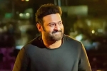 Salaar film updates, Prabhas updates, prabhas back to the sets of salaar, Indian actors Salaar film updates, Prabhas updates, prabhas back to the sets of salaar, Indian actors