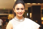 Rakul Preet Singh news, Rakul Preet Singh, rakul preet s multi starrer, Spyder