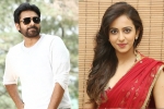 Pawan Kalyan, Rakul Preet Singh updates, rakul rejects pawan s film, Katamrayudu Pawan Kalyan, Rakul Preet Singh updates, rakul rejects pawan s film, Katamrayudu