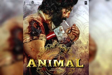 Ranbir Kapoor's Animal Updates