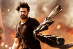 Saaho news, Prabhas, saaho ten days telugu states collections, Mandira bedi