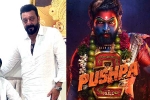 Sanjay Dutt, Mythri Movie Makers, sanjay dutt s surprise in pushpa the rule, Jagapathi babu